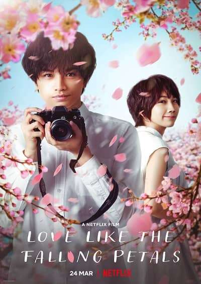 Love Like the Falling Petals 2022