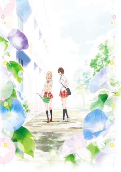 Kimi no Hikari: Asagao to Kase-san.